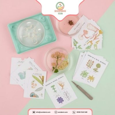 Đĩa Quan Sát Vi Sinh Vật - KP011